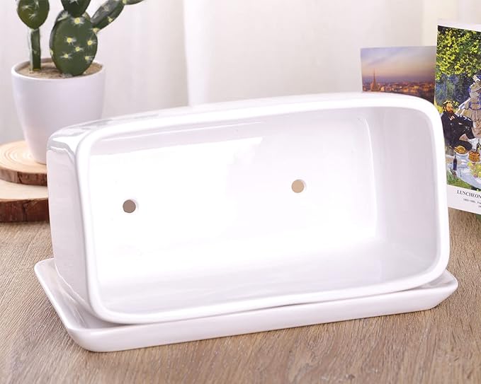 VanEnjoy 10 Inch White Rectangle Ceramic Succulent Planter Pot Decorative Cactus Plant Pot Flower Container with Ceramic Tray