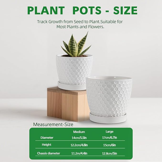 Docrin Ceramic Plant Pots Indoor, 6.6 + 5.5 Inch Flower Pots with Drainage Holes and Saucer for Plants, Set of 2, Milky White Honeycomb