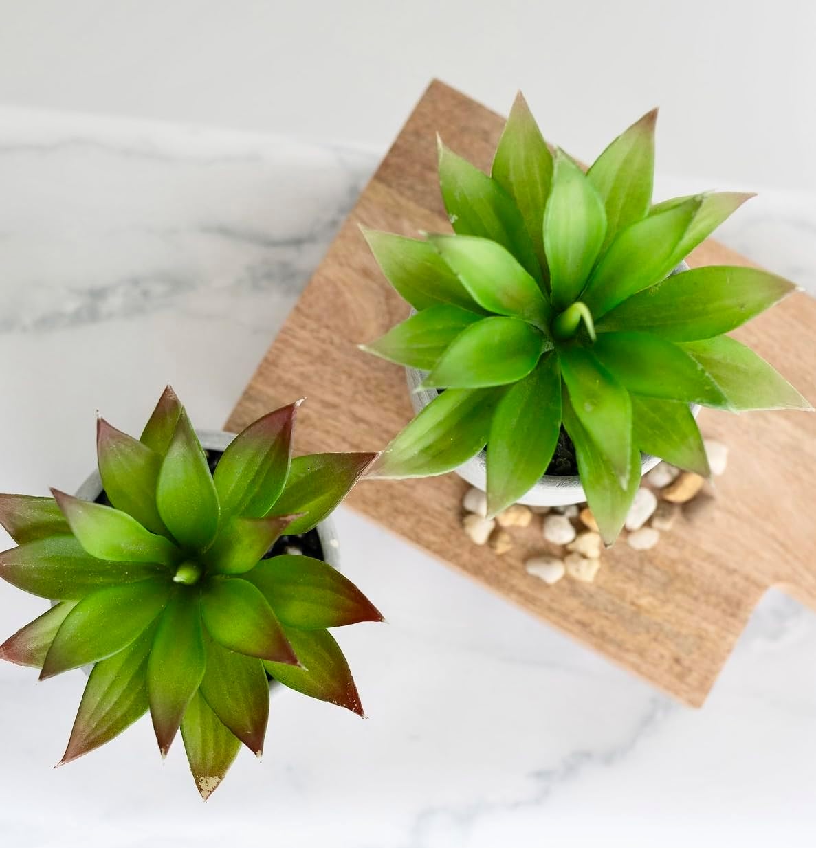 Kurrajong Farmhouse Artificial Plants Indoor | Set of 2 Fake Plants for Desk Decor | Artificial Succulents in pots | Fake Succulents| Faux Plants Indoor | Faux Agave for Shelf Decor
