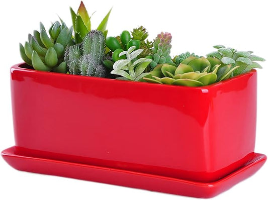 VanEnjoy 10 Inch Red Rectangle Ceramic Succulent Planter Pot Decorative Cactus Plant Pot Flower Container with Ceramic Tray