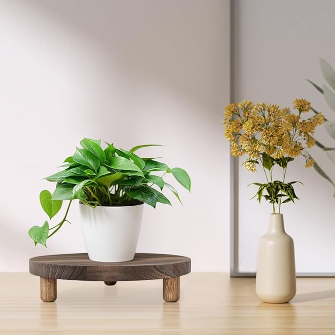 2 Pcs Wood Plant Stand Wooden Plant Stool Round Riser Display Stand Flower Pot Holder Low Plant Pot Flower Pedestal for Indoor Outdoor (Brown, 9.8 Inches)