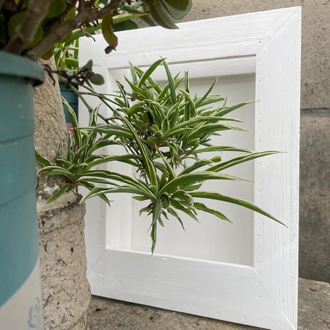 Rustic Wall Planter Frame–Handmade Whitewashed Wood Hanging Planter Box for Artificial Flowers, Succulents, Small Plants or Herbs, Farmhouse Indoor Garden Wall Decor(White)