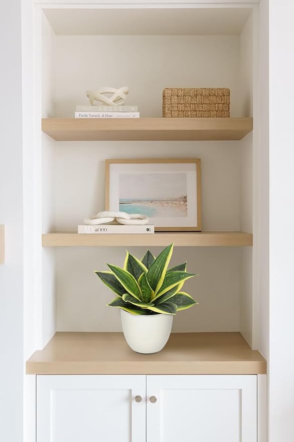 Hollyone Artificial Snake Plants 9" Faux Agave Succulent Plant Potted in White Pot Fake Sansevieria Aloe Tropical Plant for Desk Modern Office Home Bathroom Indoor Outdoor Decor