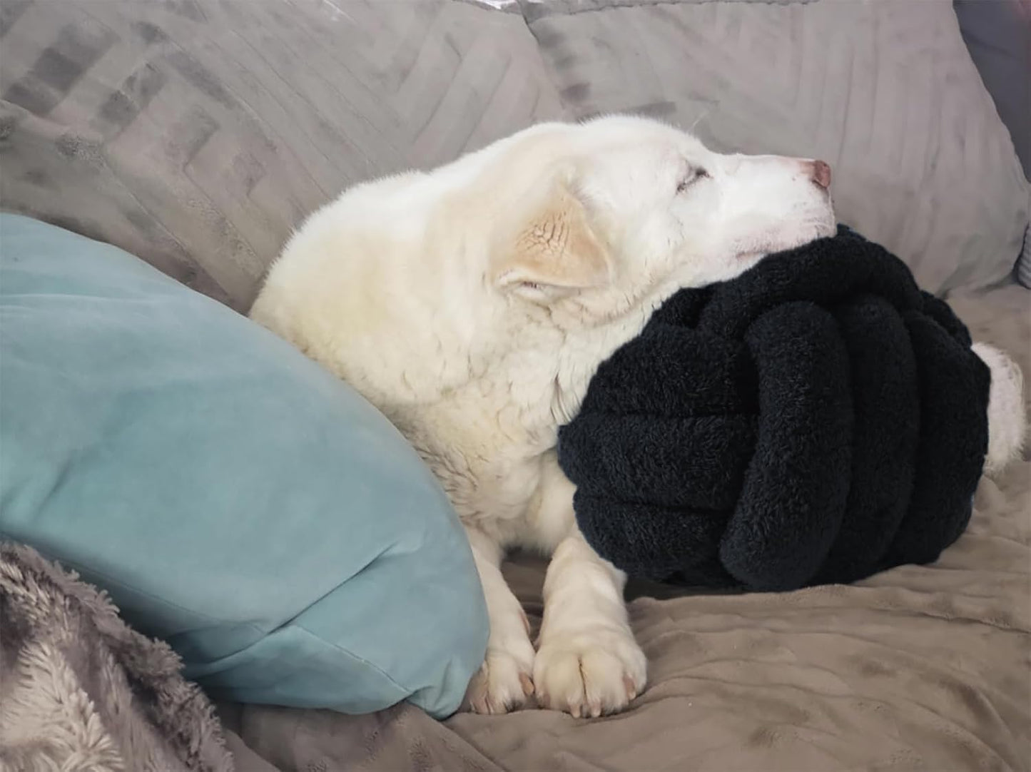 Knot Pillow Ball Plush - Decorative Throw Pillows for Bed Relieve Stress, Round Knot Cushion for Sofa Decor Pet Toy, Black 8 inch