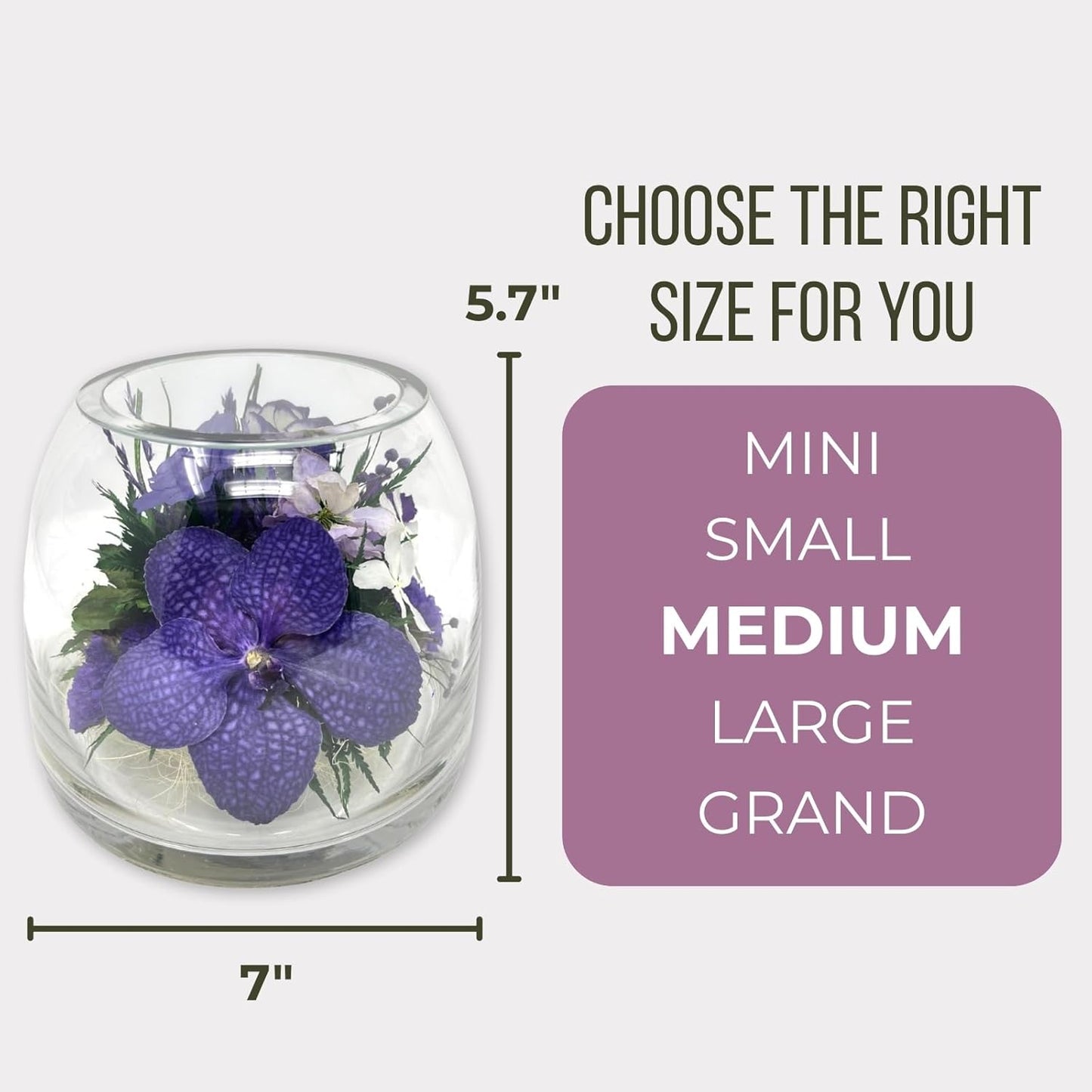 Fiora Flower Elegant Orchid Arrangement in Glass Vase | Preserved Real Orchids Lasting 5 Years | Ideal for Home Decor or Romantic Gift