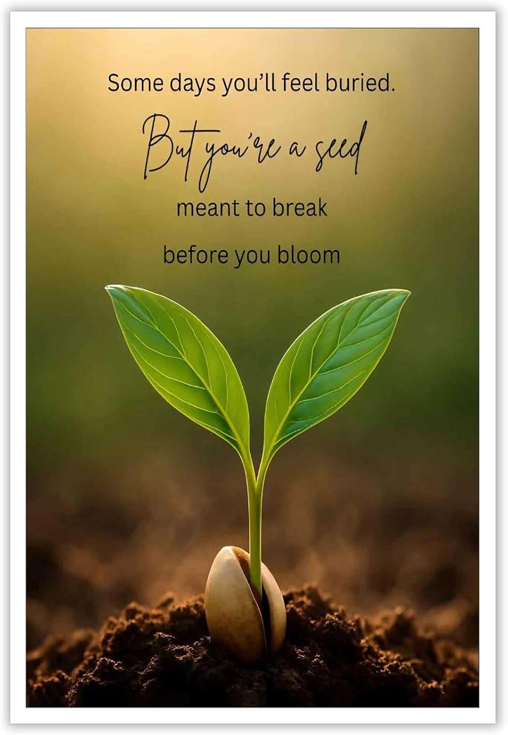 Inspirational Mental Health Poster Growth Mindset Wall Art Inspirational Text Seeds Prints Painting For School Office Wall Decor 12x16in Unframed