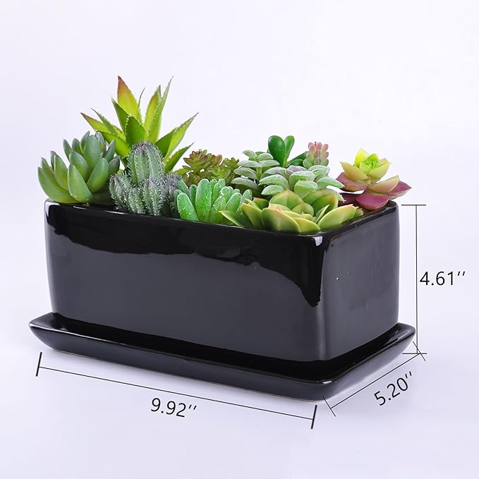 VanEnjoy 10 Inch Black Rectangle Ceramic Succulent Planter Pot Decorative Cactus Plant Pot Flower Container with Ceramic Tray