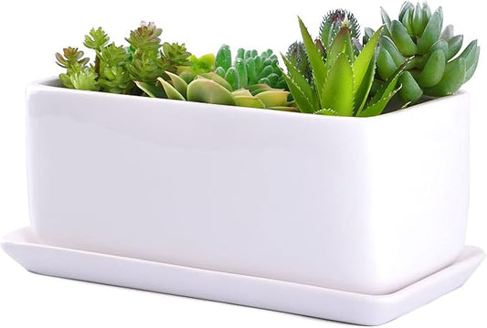 VanEnjoy 10 Inch White Rectangle Ceramic Succulent Planter Pot Decorative Cactus Plant Pot Flower Container with Ceramic Tray