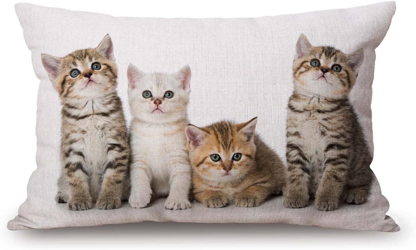 Colourful Creative Cared Cats Cotton Linen Decorative Throw Pillow Case Cushion Cover Pillowcase for Couch Sofa Bed,12 X 20 Inches