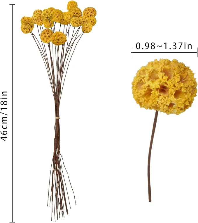 24 PCS Dried Craspedia Billy Balls Flowers, 18” Natural Dried Flowers Bouquet for Vase Floral Arrangements Wedding Table Centerpieces Party DIY Home Decor (Yellow)