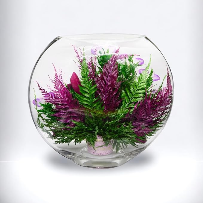 Fiora Flower Elegant Orchid Arrangement in Glass Vase | Preserved Real Orchids Lasting 5 Years | Ideal for Home Decor or Romantic Gift