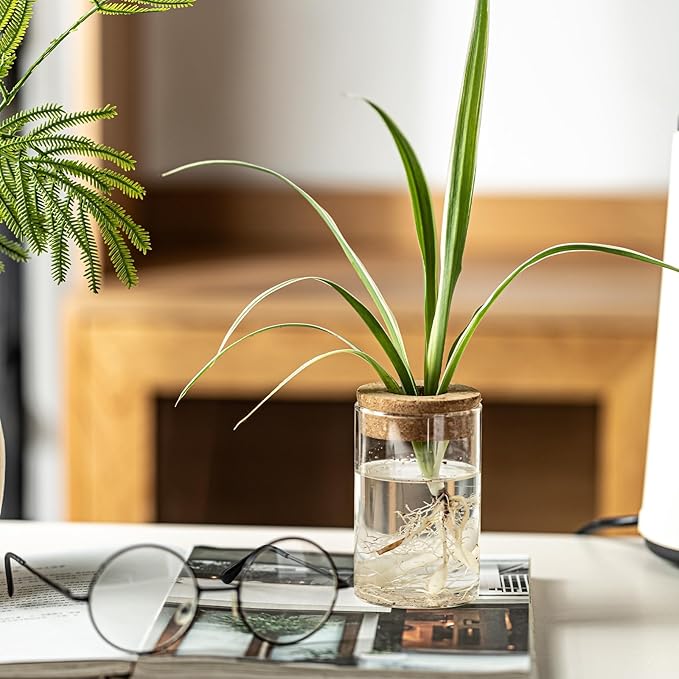 Separated Desktop Glass Flower Vases - Ideal Plants Propagation Stations for Living Room, Bedroom Decoration,Home Decor (4)