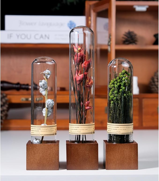 3Pcs Dried Flowers Book Shelf Decor,Boho Shelf Decor,Small Plants Decor for Office Shelves,Natural Forest Green Plants Decor with Wooden Base,Rustic Farmhouse Decor,Unique Gifts for Women,Friends