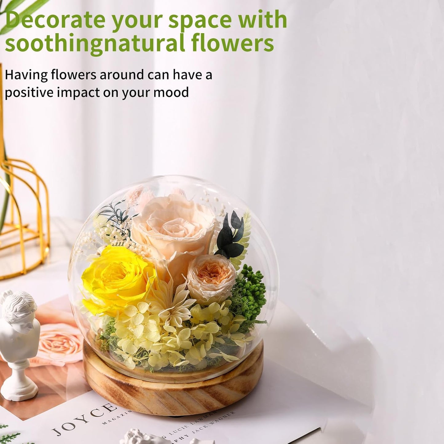 Long-Lasting Real Flowers,Preserved Roses with Hydrangea and LED Lights for Anniversary,Christmas,Birthday Present for Mom Grandma Wife Used as for Occasions(Champagne Rose)