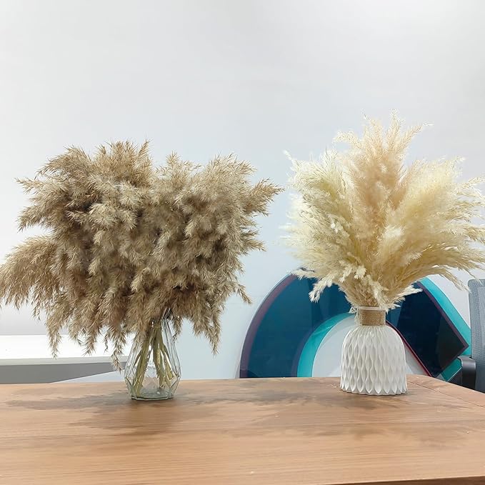 25 Stems Home Decor - Natural Dried Pampas Grass, Brown Pompas Grass, Dry Small Pampas Bulk for Living Room Table Decor, Boho Decor, Party Wedding Decor , Gift(17.7 inch, 20 Brown & 5 Female Pampas )