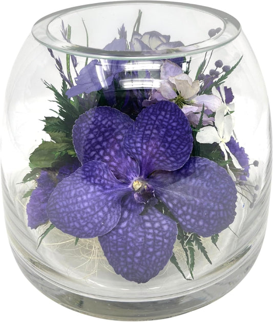 Fiora Flower Elegant Orchid Arrangement in Glass Vase | Preserved Real Orchids Lasting 5 Years | Ideal for Home Decor or Romantic Gift