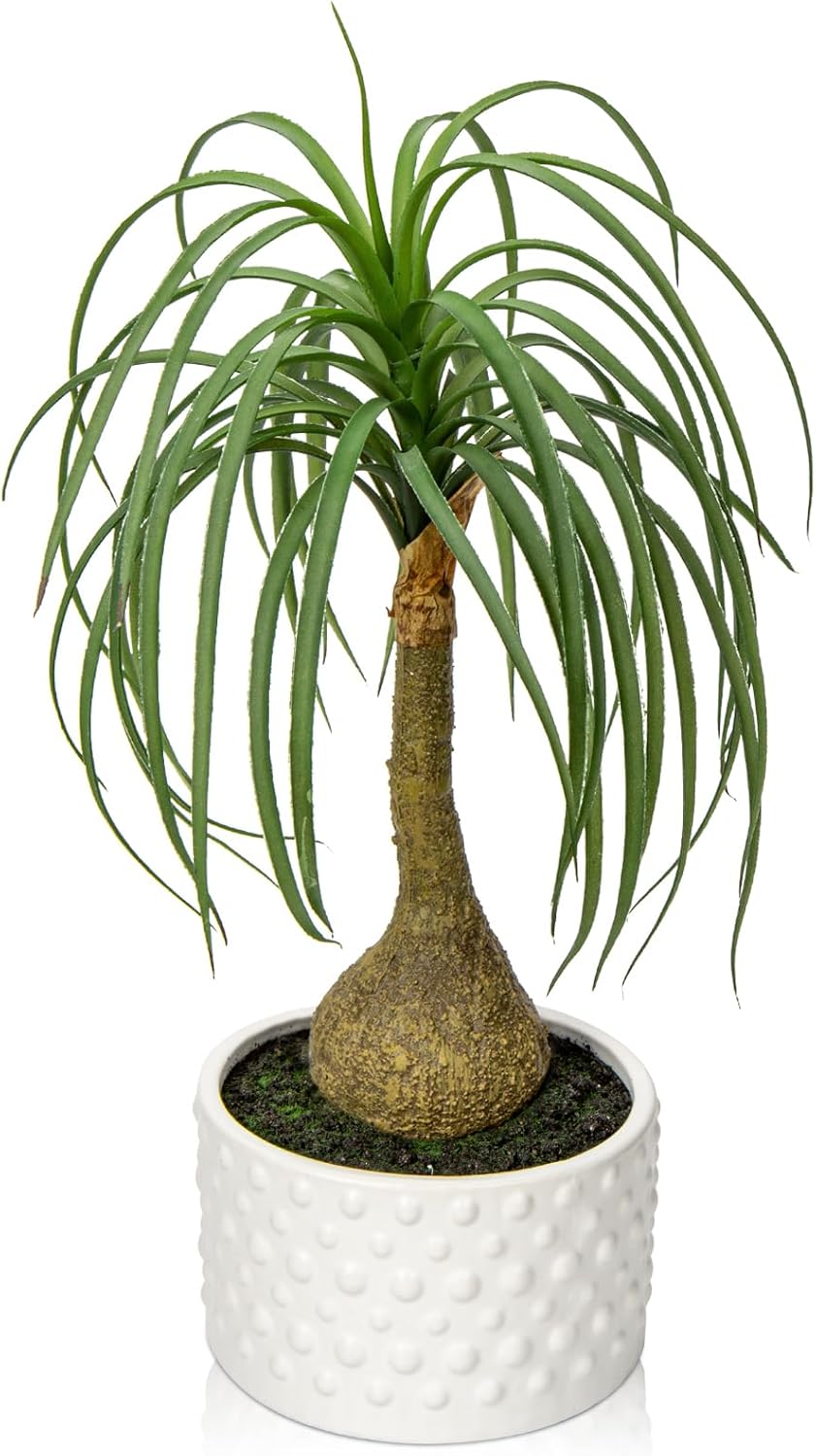 Hollyone Fake Plants Artificial Potted Plants Artificial Ponytail Palm Plant in Pots Faux Bonsai Plants for Office Table Desk Shelf Bathroom Bedroom Greenery Decoration Room Indoor Home Decor