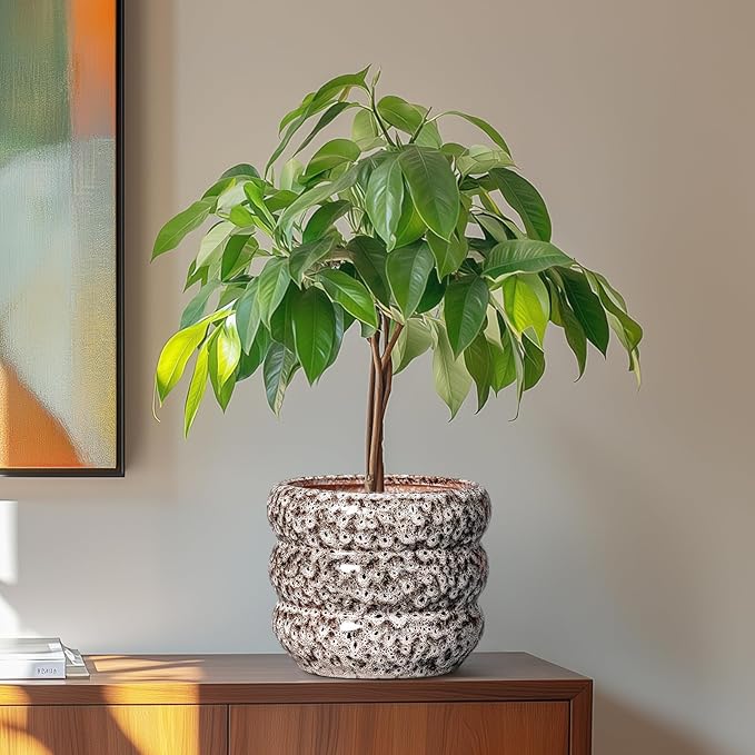 SQOWL Ceramic Plant Pots - 8 Inch Ceramic Planter for Indoor Plants Outdoor, Round Planter with Drainage Hole, Round Decorative Flower Pots, Living Room Office Garden Decor, Gardening Gifts, White