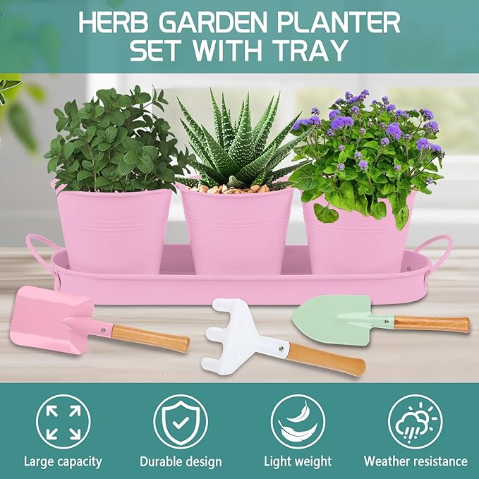 Indoor Herb Garden Set of 3 with Tray and 3 Types of Gardening Tools, Metal Plant Pots Herb Garden Planter Kit with Drainage for Plants (Pink)