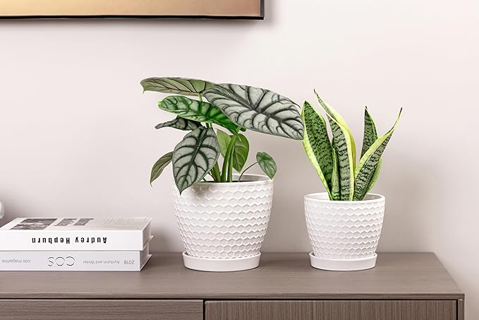 Docrin Ceramic Plant Pots Indoor, 6.6 + 5.5 Inch Flower Pots with Drainage Holes and Saucer for Plants, Set of 2, Milky White Honeycomb