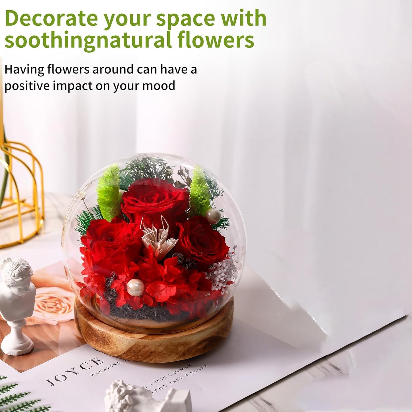 LED Preserved Real Rose Glass Dome Display, Red Roses with Pearl Accents, Wooden Base, Gift for Women Mothers Women Mom Grandma Girlfriend Wife