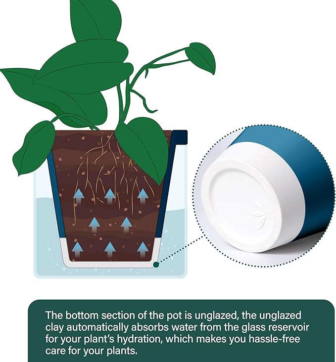 D'vine Dev 8 Inch Design Self Watering Planter for Indoor Plants, Blue Terracotta Pot with Cylinder Glass Cup, 37-X-C-4