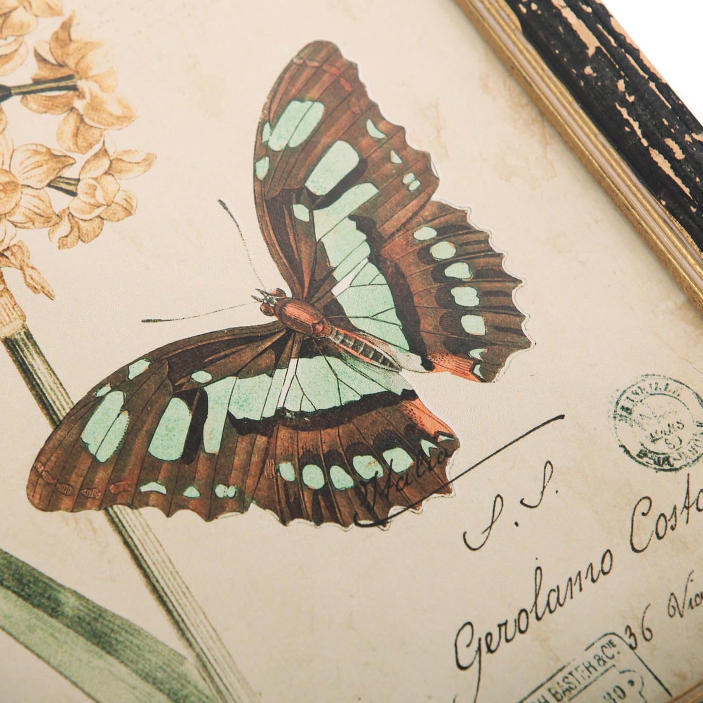 NIKKY HOME Set of 3 Vintage Butterfly Wall Art Poster Print Rustic Botanical Picture Decor Floral Plant Wooden Framed Plaque Sign for Bedroom Living Room Office Classroom