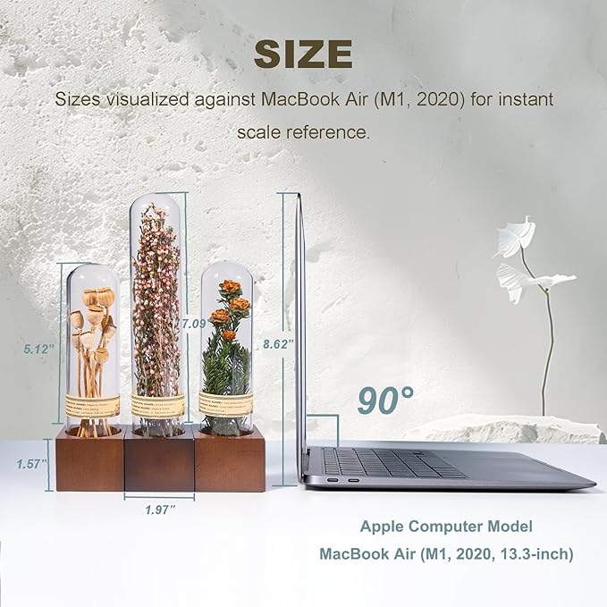 3Pcs Dried Flowers Book Shelf Decor,Boho Shelf Decor,Small Plants Decor for Office Shelves,Natural Forest Green Plants Decor with Wooden Base,Rustic Farmhouse Decor,Unique Gifts for Women,Friends