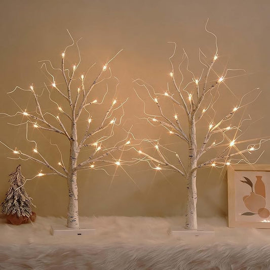 White Birch Tree with LED Lights, Christmas Decorations Lighted Tree for Tabletop, Battery Operated 24 LED Warm White Tree, 2FT Mini Small Christmas Tree Indoor Home Christmas Decor (2 Pack, Timer)