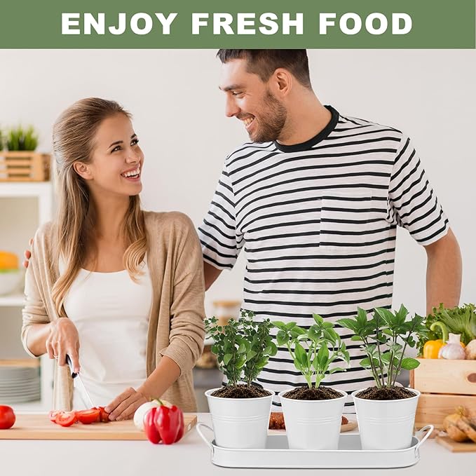 Hicarer 2 Sets Herb Planter with Tray Metal Herb Garden Planter with Drainage Farmhouse Windowsill Pots for Indoor Plants Flower Succulent Outdoor Kitchen Apartment Balcony Window (White)