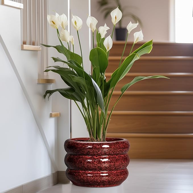 SQOWL Ceramic Planters for Indoor Plants - 13.5 Inch Plant Pot with Drainage Hole, Large Ceramic Flower Pots, Bubble Round Planter for Outdoor Plants, Room Home Office Decor, Gardening Gifts, Red