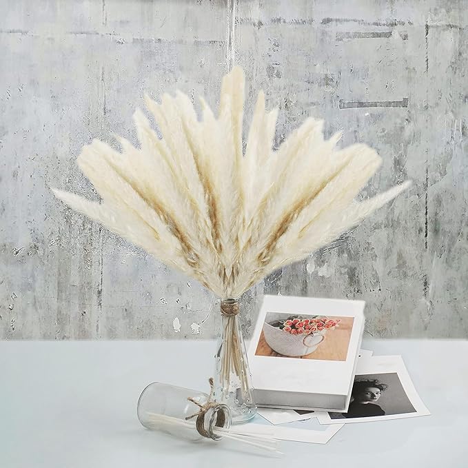 Uieke 50 100Pcs Natural Dried Pampas Grass Plume 17inch Tall Dried Flowers Large Faux Reed Artificial Plants for Wedding Flower Arrangements Farmhouse Wreath Door (120pcs-white)