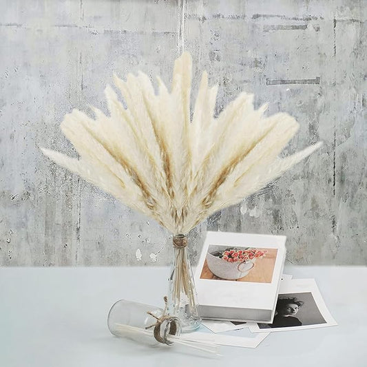 Uieke 50 100Pcs Natural Dried Pampas Grass Plume 17inch Tall Dried Flowers Large Faux Reed Artificial Plants for Wedding Flower Arrangements Farmhouse Wreath Door (120pcs-white)