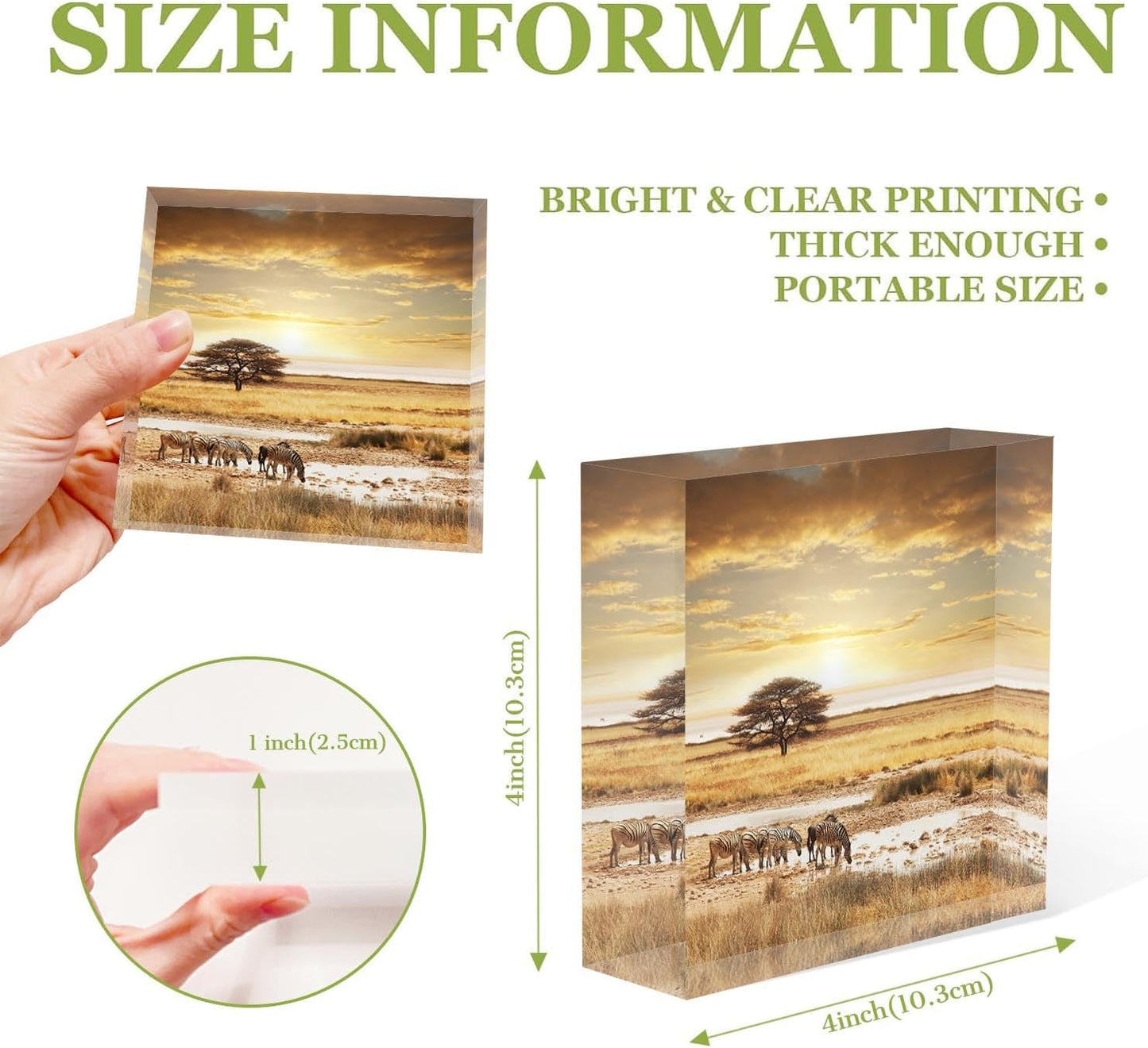 Home Office Desk Decor Sunset African Safari Encouraging Gifts for Women | Retirement Gift for Woman | Thank You Gifts | Birthday Present, 4x4x1inch