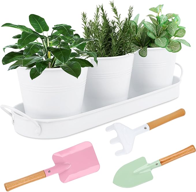 Indoor Herb Garden Set of 3 with Tray and 3 Types of Gardening Tools, Metal Plant Pots Herb Garden Planter Kit with Drainage for Plants (White)