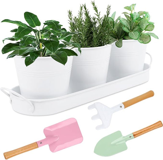 Indoor Herb Garden Set of 3 with Tray and 3 Types of Gardening Tools, Metal Plant Pots Herb Garden Planter Kit with Drainage for Plants (White)