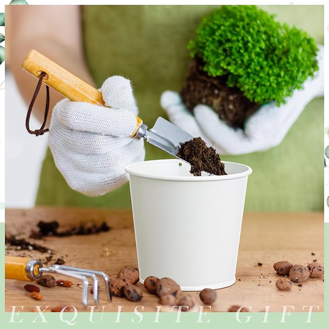 2 Sets Herb Garden Planter Indoor Kit with Trey 10 Pcs Metal Windowsill Plant Pots with Drainage Holes Indoor Herb Planter with Marker and Labels for Home Outdoor Plants(White)