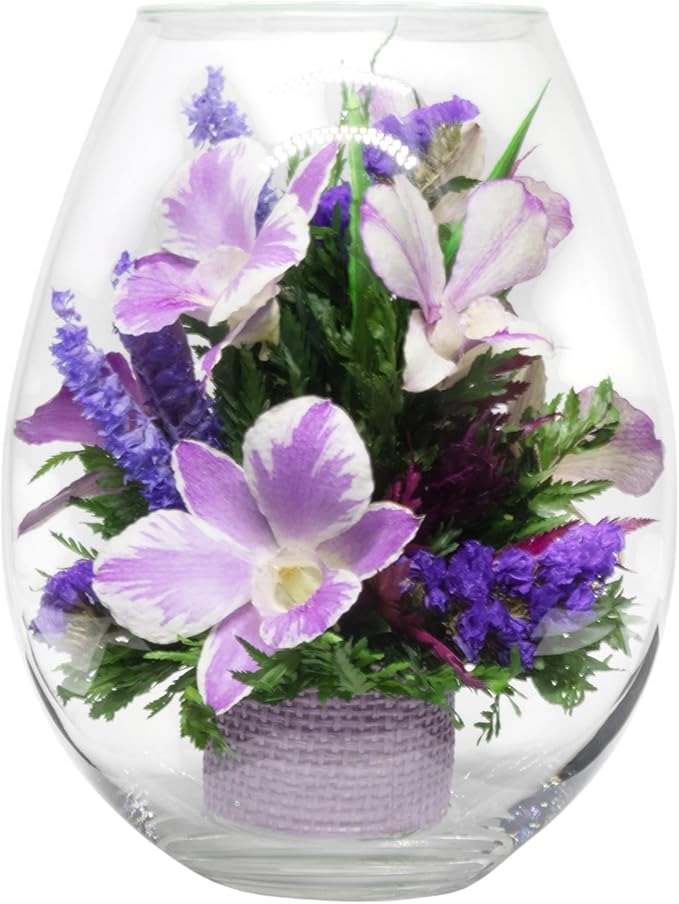 Fiora Flower Elegant Orchid Arrangement in Glass Vase | Preserved Real Orchids Lasting 5 Years | Ideal for Home Decor or Romantic Gift