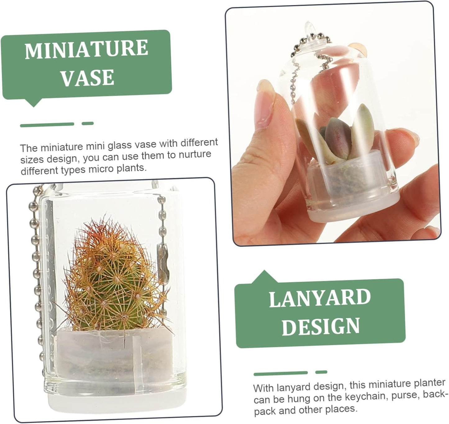 GANAZONO Miniature Glass Container Keychain Assorted Color Propagation Vases for Micro Plants Decorative Air Plant Terrarium for Backpacks and Keychains