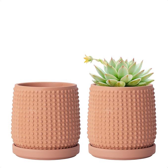 D'vine Dev Set of 2 Ceramic Plants Pots, 4 Inch Beaded Stoneware Flower Pot for Plants with Drainage Hole and Saucer, Terracotta, 27-E-Z-7