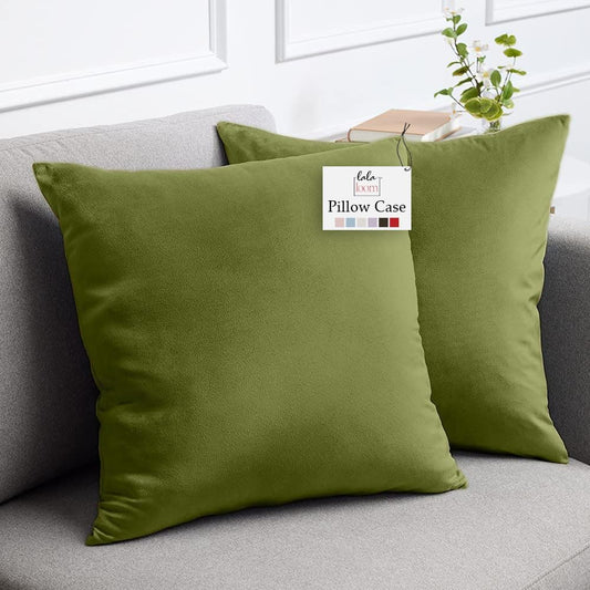 lalaLOOM Velvet Throw Pillow Covers, Set of 2, 18x18 Decorative Square Pillows Home Decor, Soft Accent Cases, Silky Machine Washable Pillowcases for Sofa, Couch, Bedroom, Living Room, Moss Green