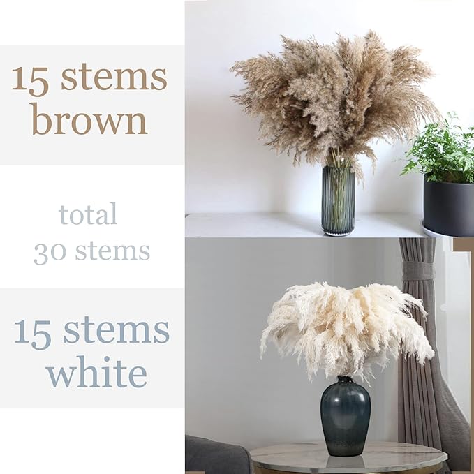 30 Stems Boho Decor - Dried Pampas Grass, Fluffy Brown & White Pampas Grass Fluffy, Dry Short Flowers Small Pampas Bulk for Home Decor, Home Decor, Wedding Decor, Gift(17.7 inch, 15 Brown & 15 White)