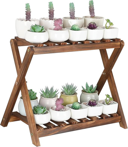 Small Plant Stand Indoor 2 Tier Table Top Flower Succulent Stand Desk Wood Plants Shelf Holder Windowsill Mini Cactus Stands Rack (X-2 Design)