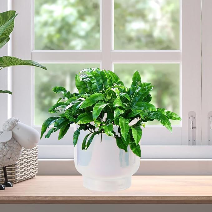 LB Blue White Ceramic Planters for Indoor Plants, Succulent Plant Pots Ceramic Plant Pot, Modern Flower Pots for Living Room Office Home Decor, Round Flower Pot of 4.3 Inch(Plant Not Included)