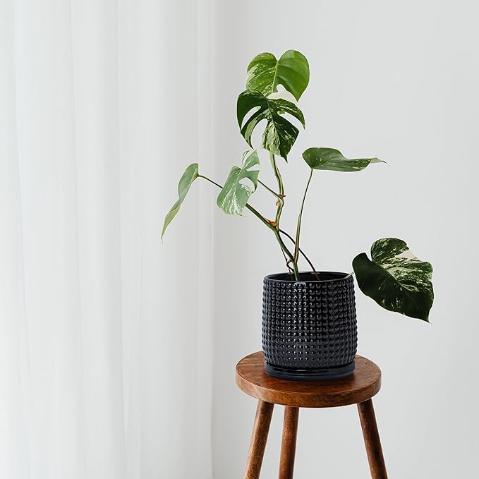 D'vine Dev 6 Inch Ceramic Beaded Stoneware Planter Pot - Flower Pot with Drainage Holes and Saucers for Indoor Succulent Plants or Flowers, Glossy Black, 27-C-X-2