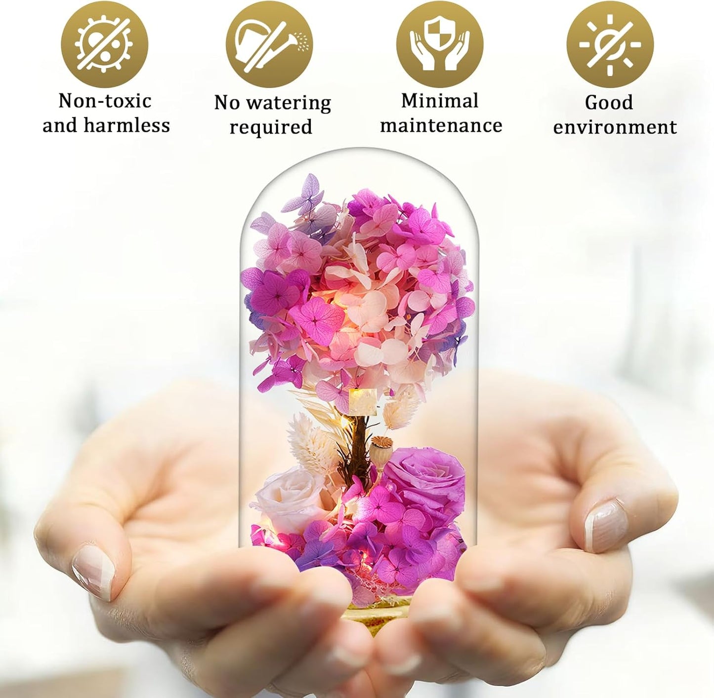 dranmoner LED Illuminated Glass Dome with Preserved Pink Roses and Hydrangeas, 8 Inch Height, Battery Powered Floral Display with Wooden Base