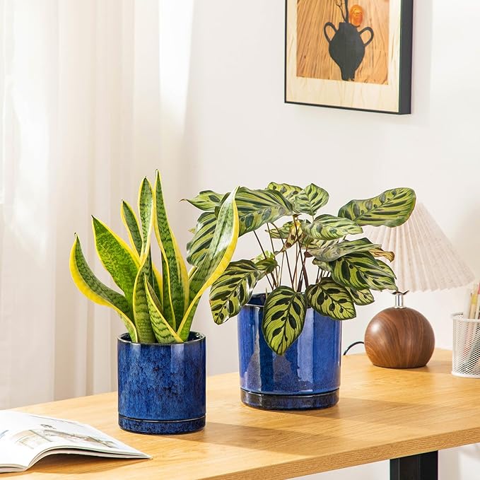 vancasso Ceramic Plant Pots, 3 Piece Planters for Indoor Plants, 4.25+5.25+6.25 Inch Flower Pots with Drainage, Plant Pots Indoor for Succulent, Pothos, Snake Plant and Money Tree, Etc (Blue)