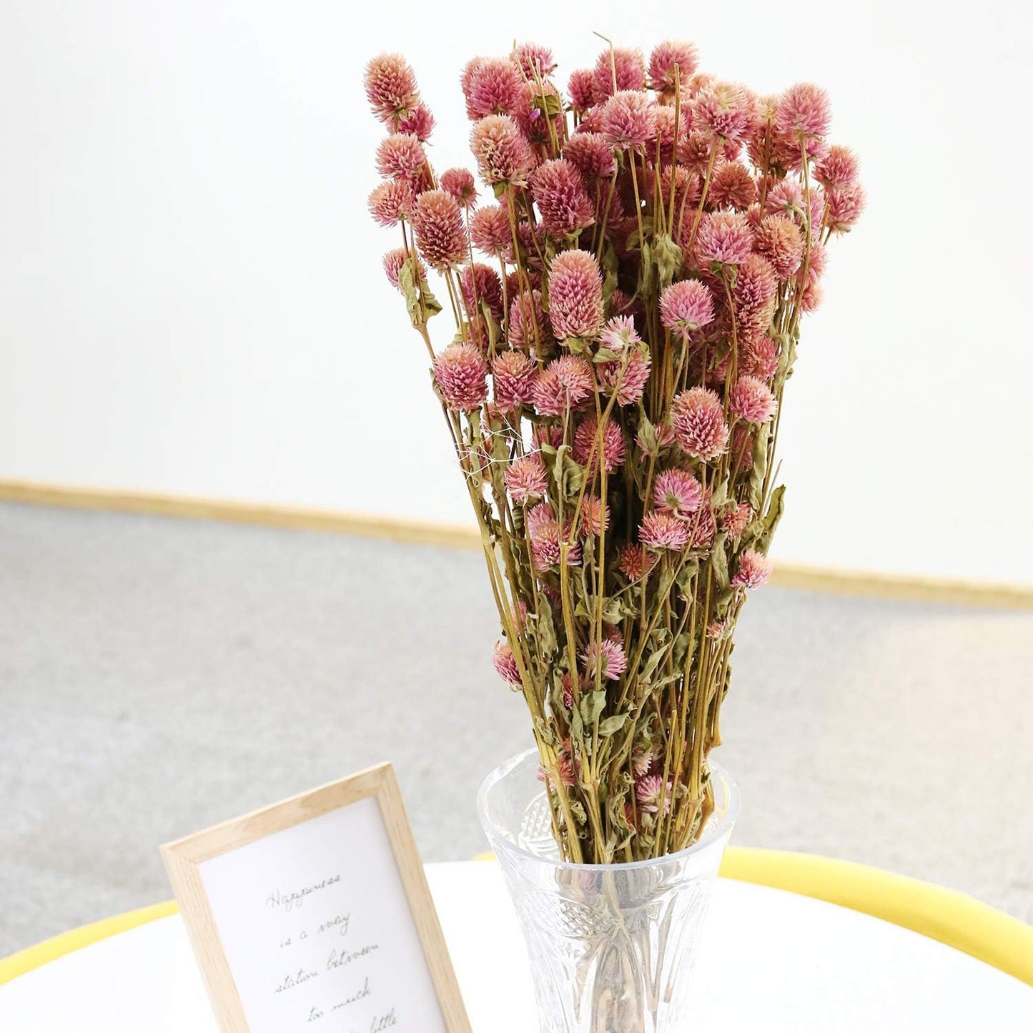 Dried Flower White Globe Amaranth Dry Flower Bundles 100% Naturally for Home Decor Party (Pink)