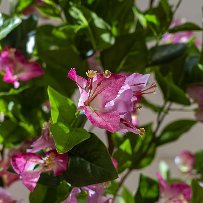 4FT Artificial Bougainvillea Tree Artificial Tree Tall Potted Fake Bougainvillea Trees for Outdoor Indoor Lifelike Potted Faux Plants with Wood Trunk and Flowers Office Wedding Home Decor