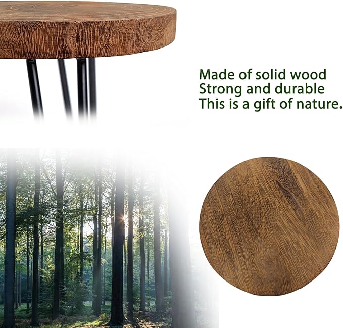 Plant Stand Indoor Outdoor Wood Mid Century Plant Stand for Indoor Plants, Modern Plant Table Round Plant Stool, Boho Rustic Wooden Stool for Plant Pot Hol (L)